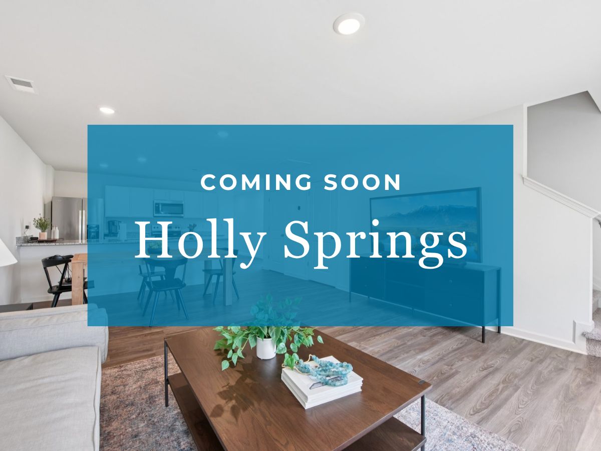 Holly Springs,48706