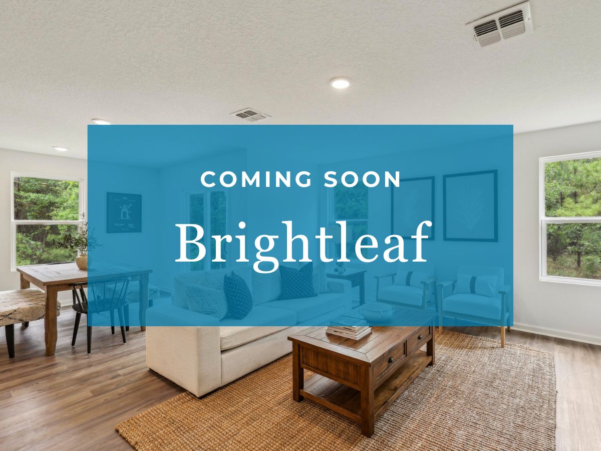Brightleaf,27893