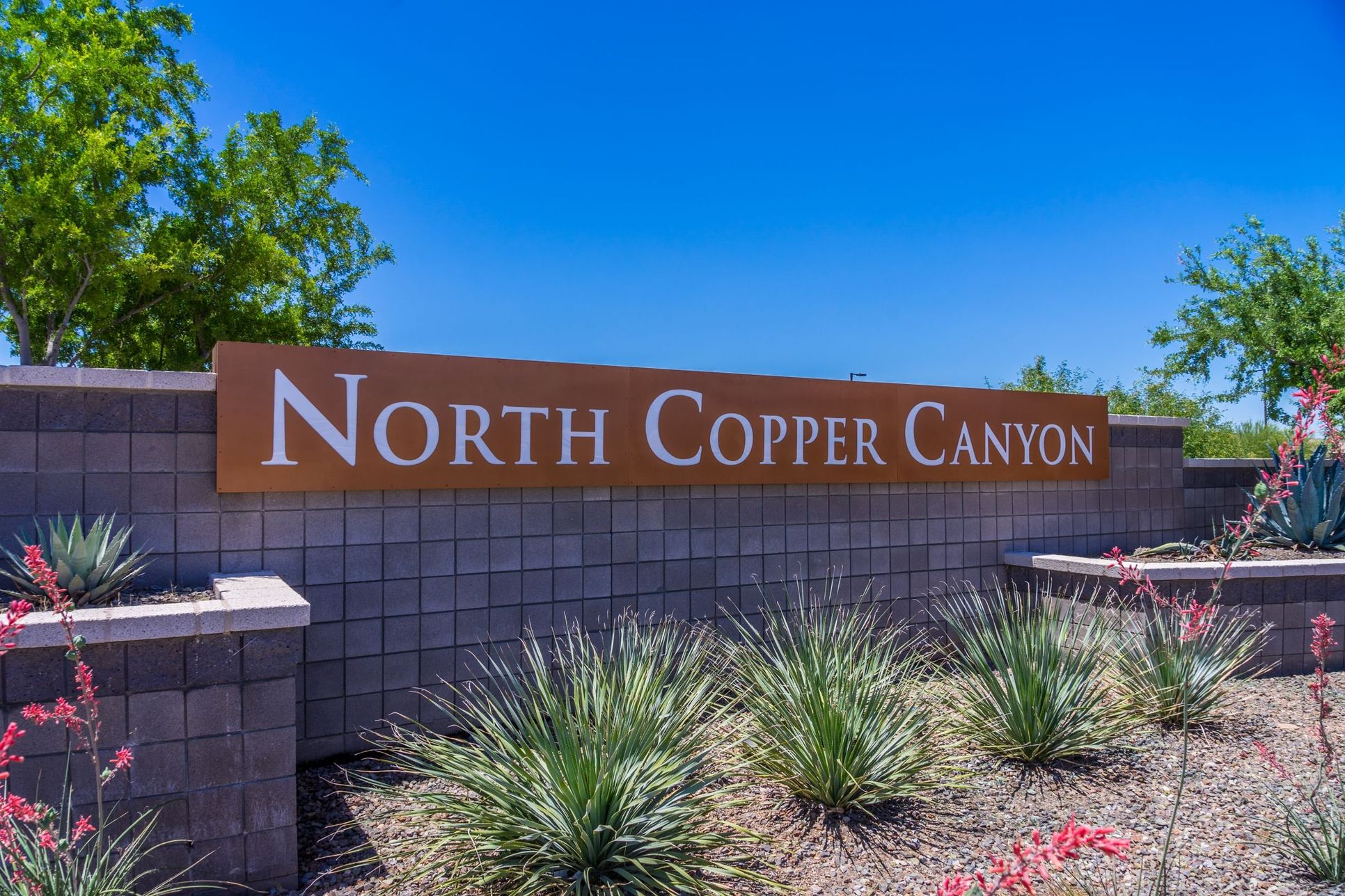 North Copper Canyon,85387