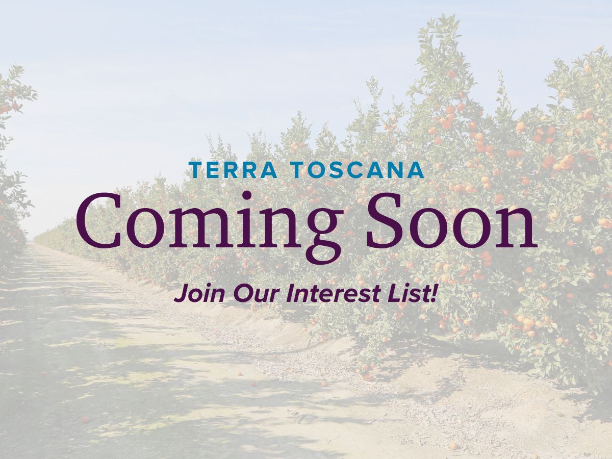 Terra Toscana,93723