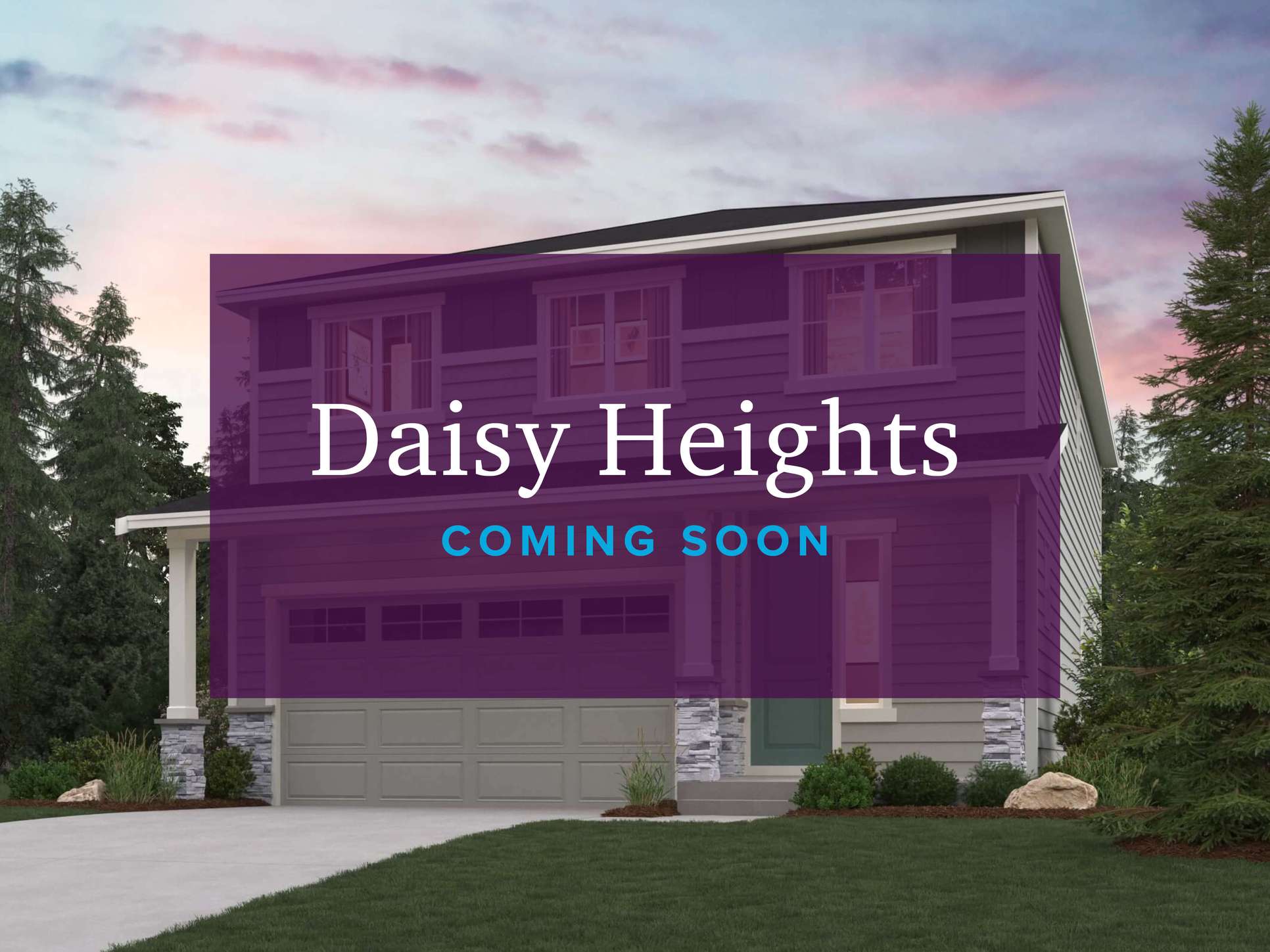 Daisy Heights,98294