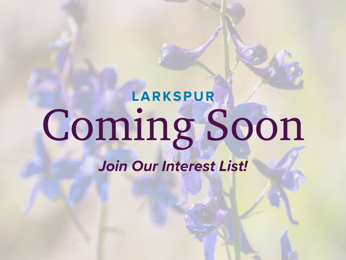Larkspur,93292