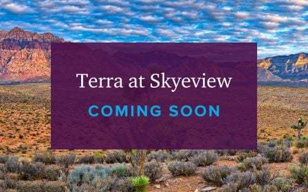 Terra at Skyeview,89166