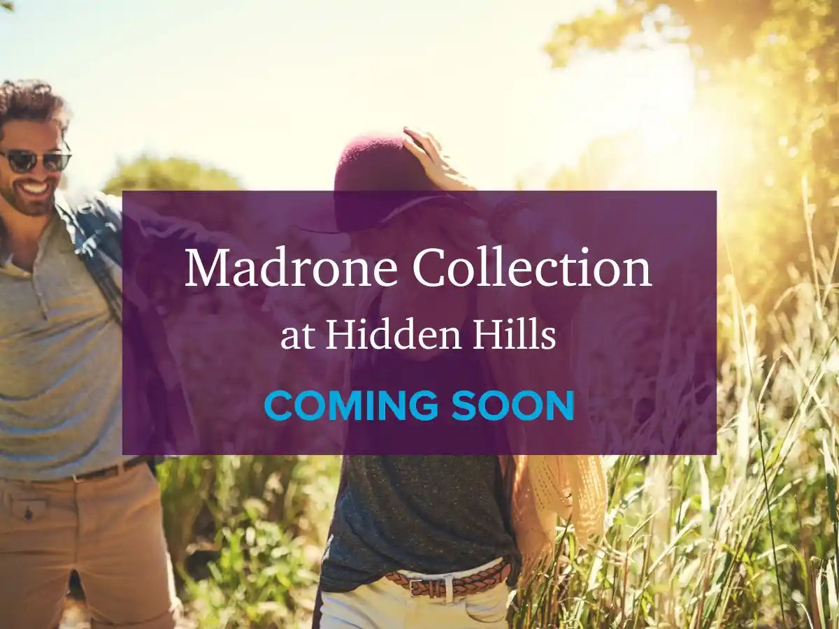 Madrone Collection,95648