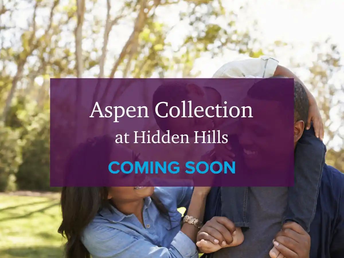 Aspen Collection,95648