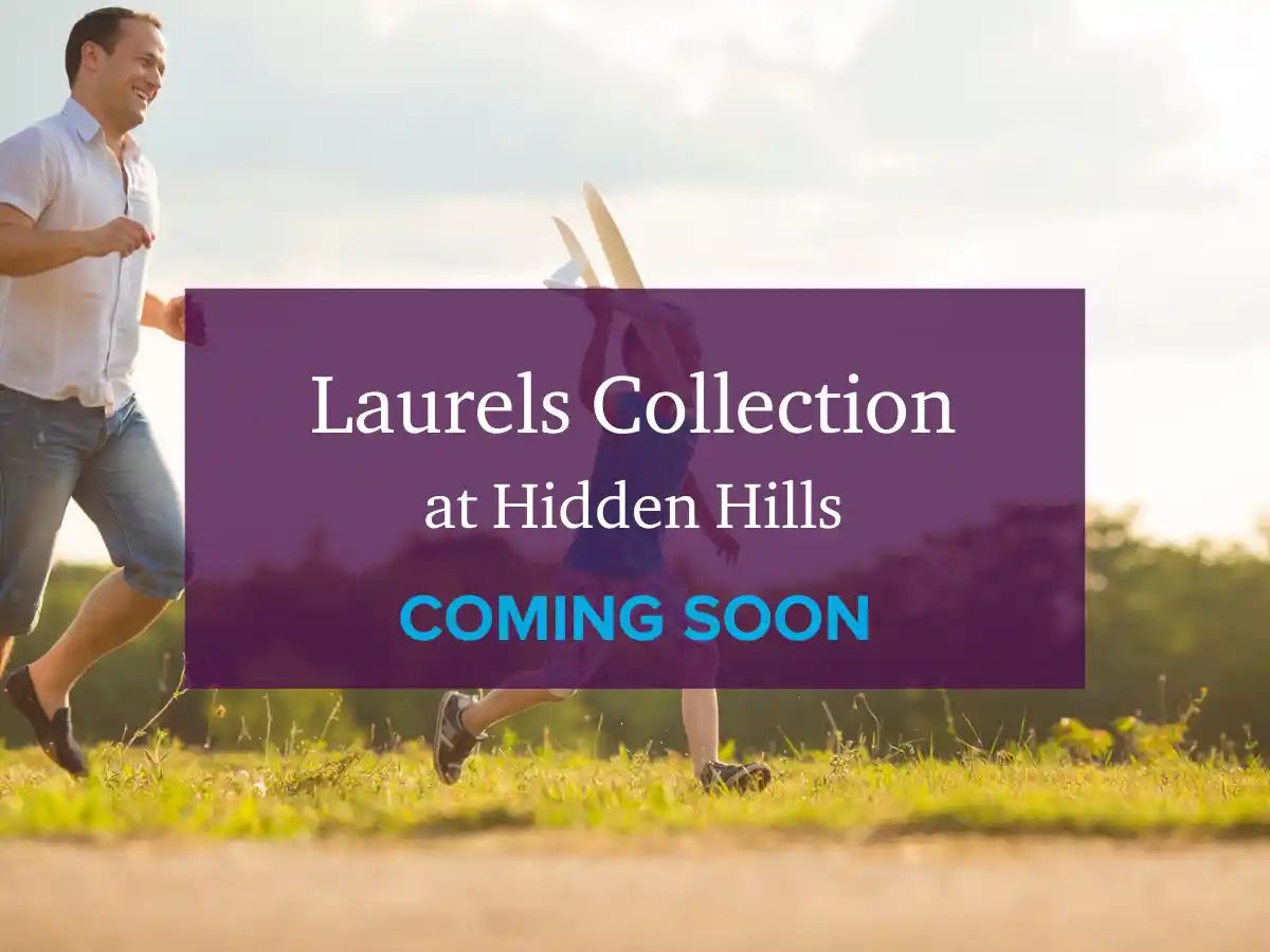 Laurels Collection,95648