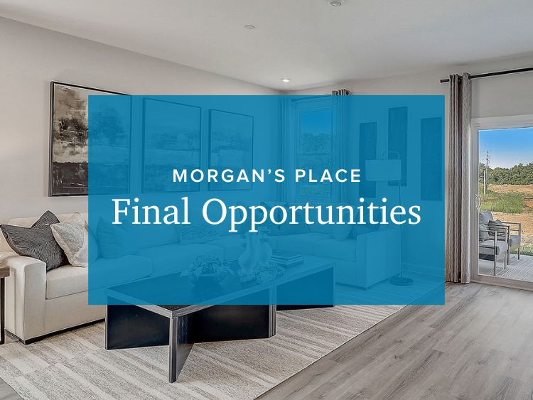 Morgan's Place,37015