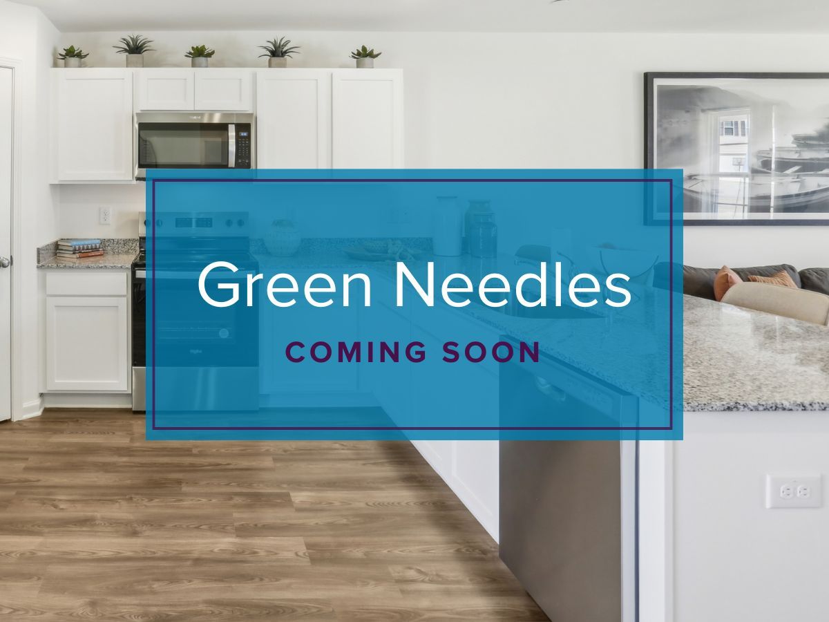 Green Needles,27292