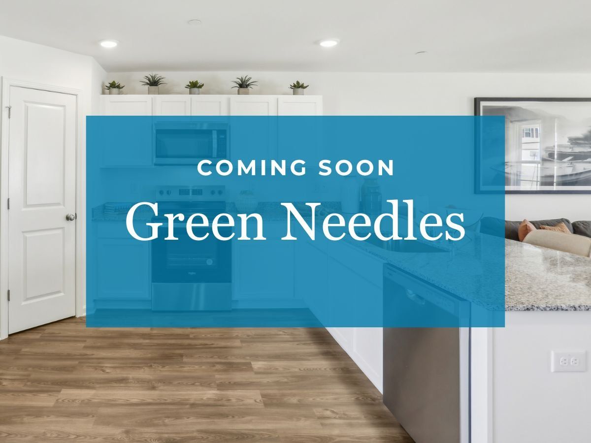 Green Needles,27292
