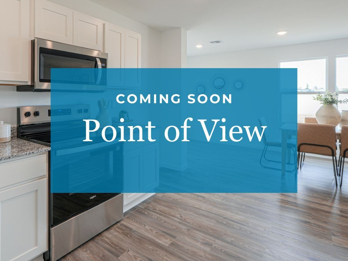 Point of View,86315