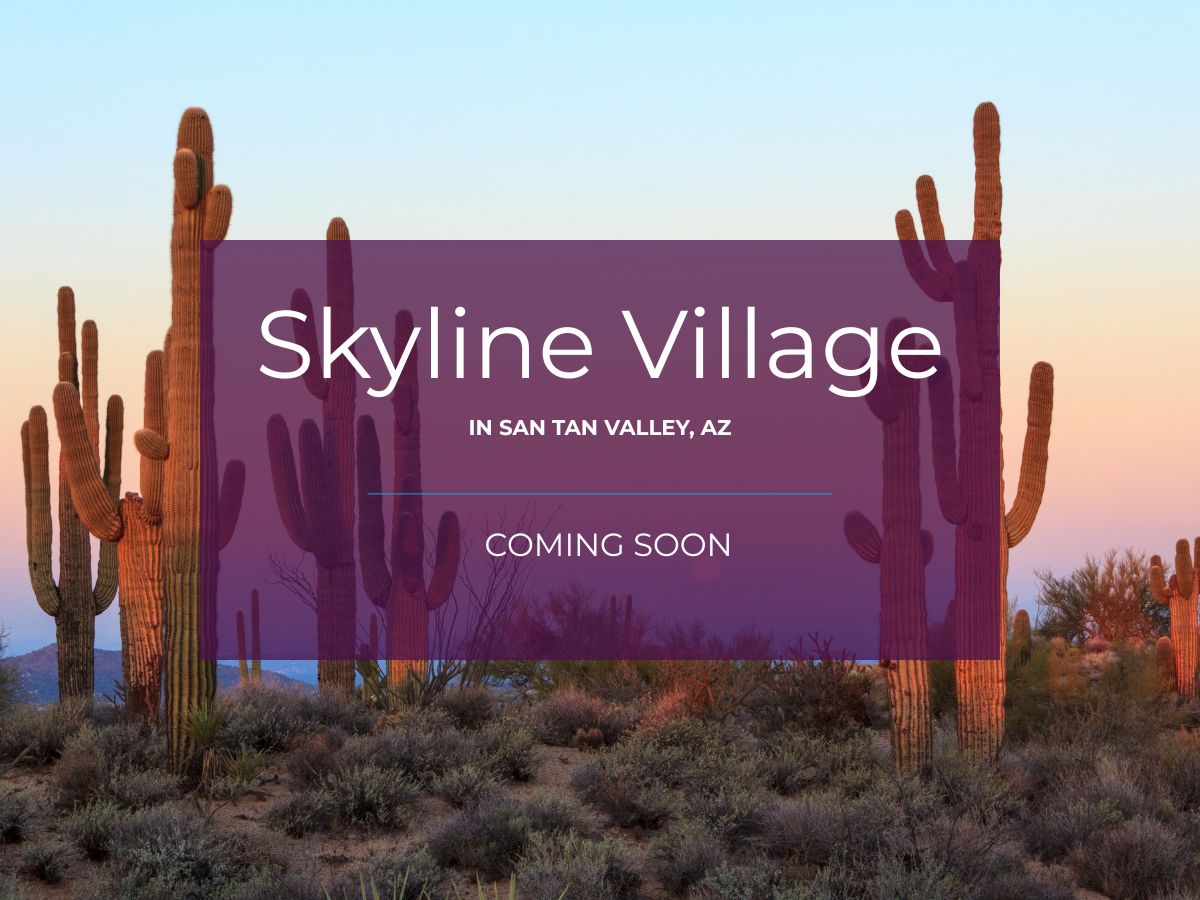 The Vistas Collection at Skyline Village,85140