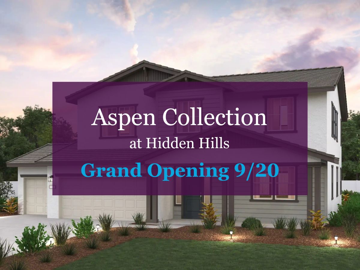 Aspen Collection,95648
