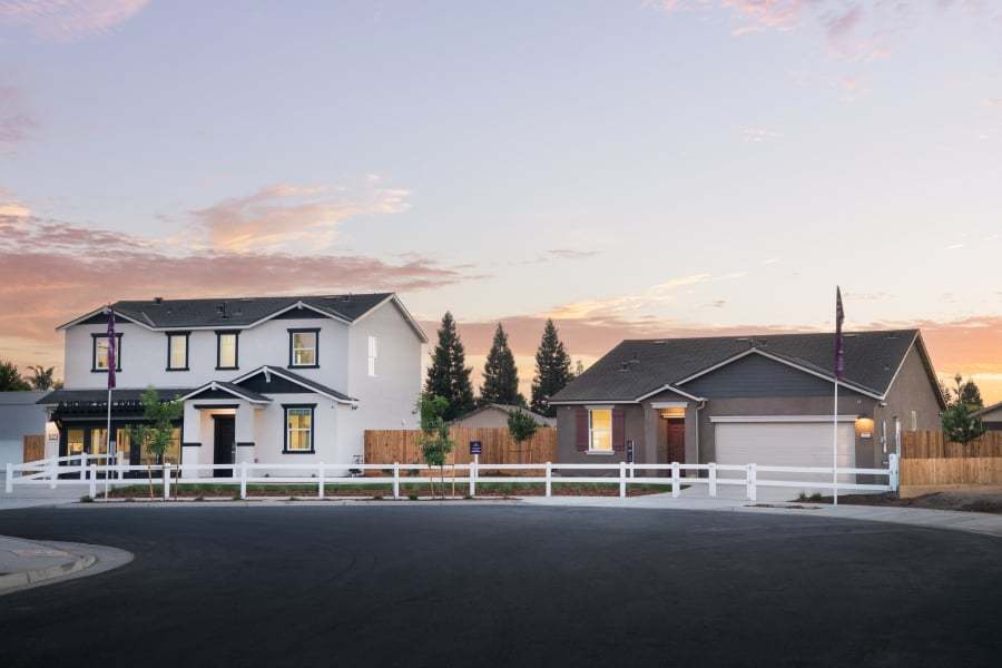 Larkspur,93292