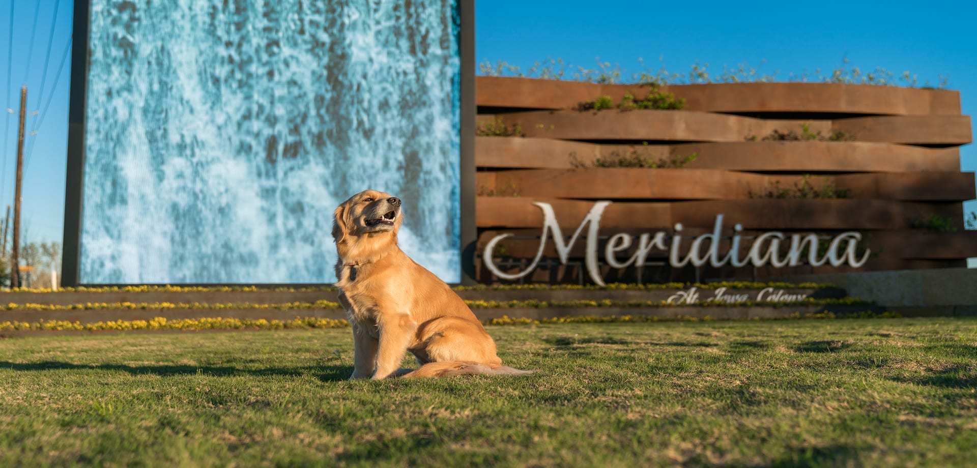 Meridiana,77578