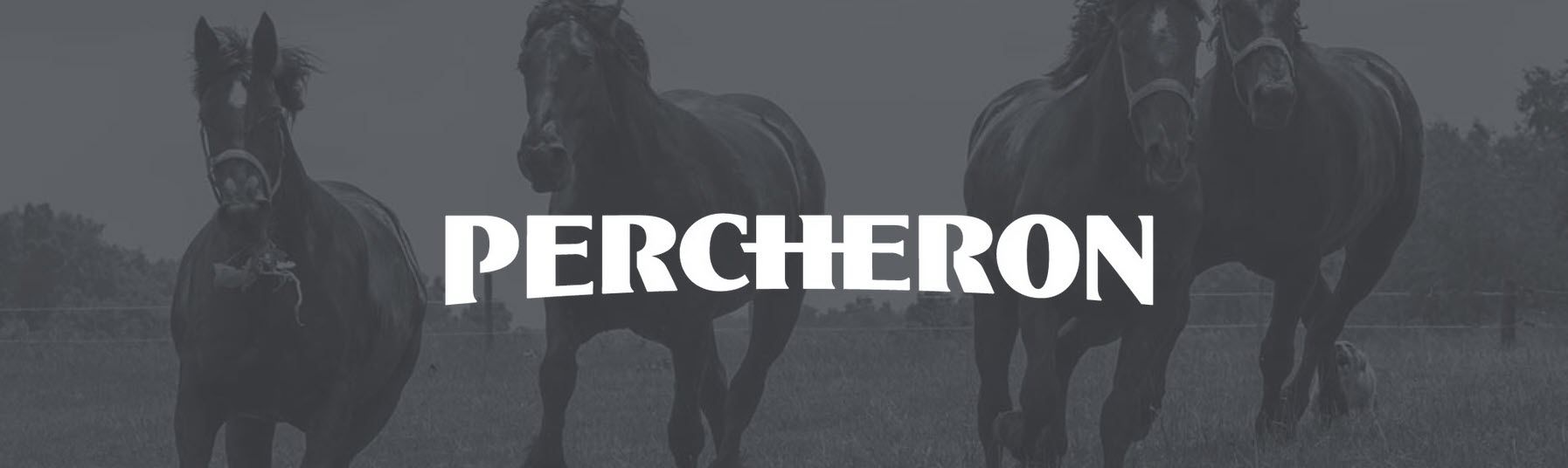 Percheron,80908