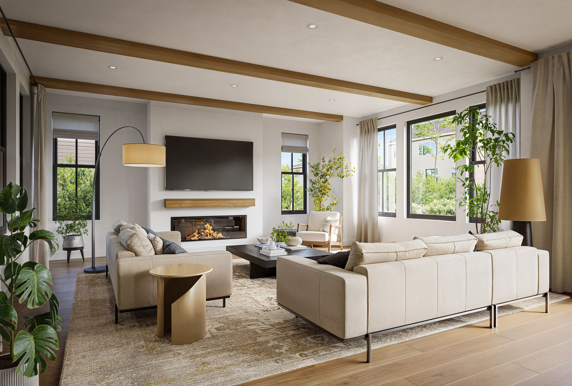 Living Room:Living Room