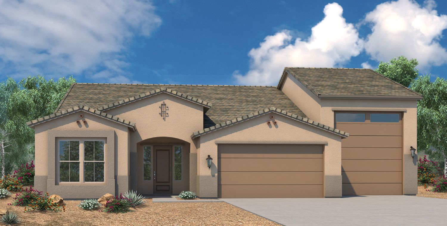 A - SOUTHWEST:Willow