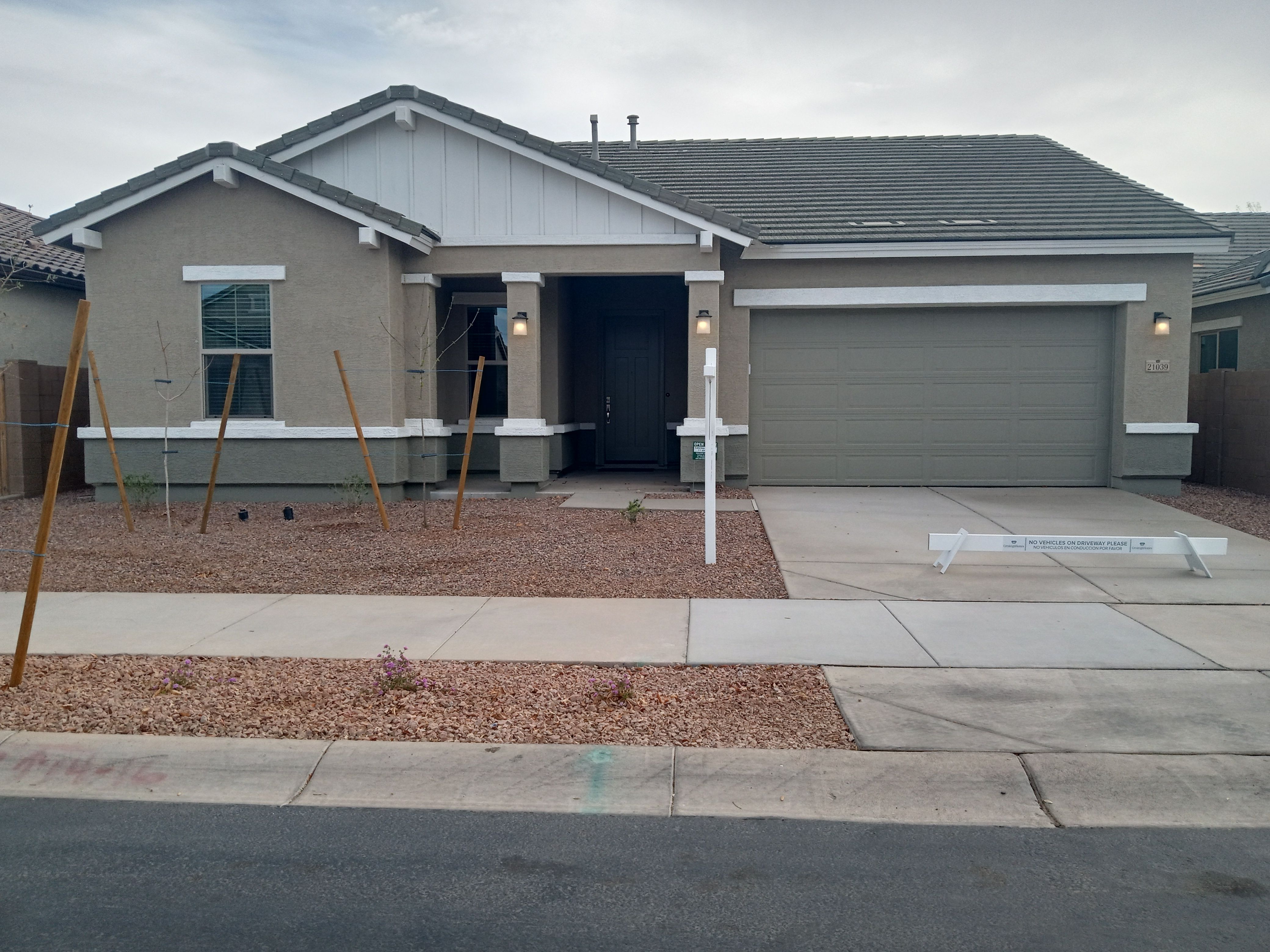 Exterior Elevation C:Large Backyard