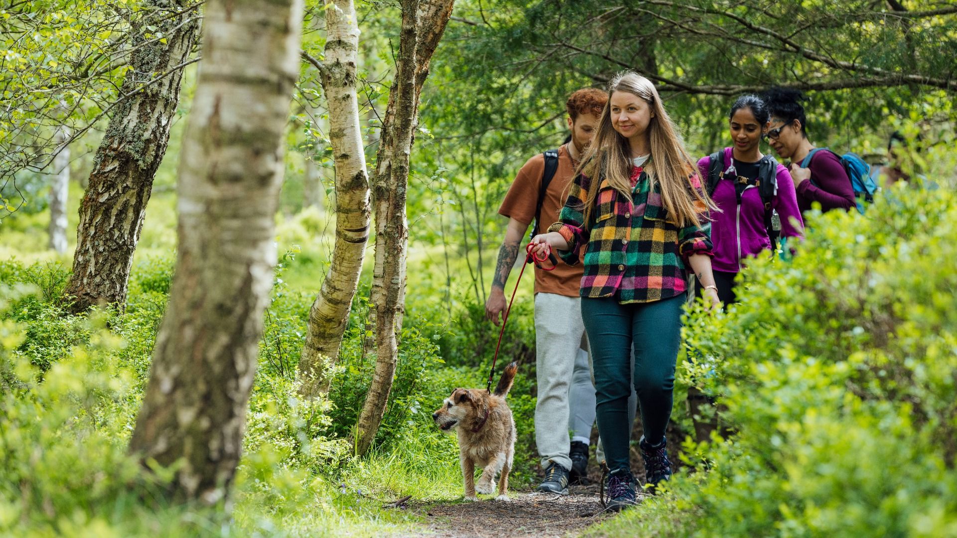 Walk Trails at Michaux Gardens