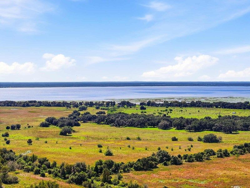 Palmeras at Crossprairie