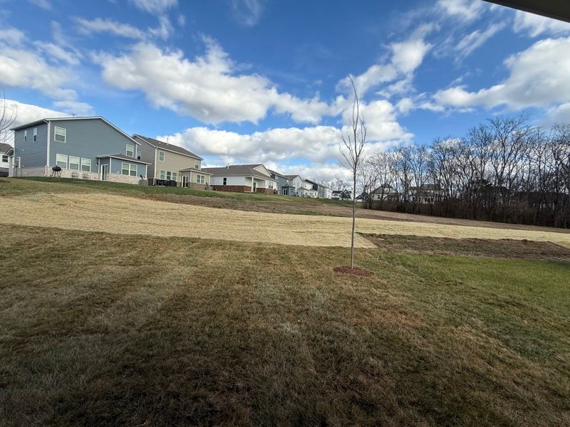 Exterior:Exterior Rear