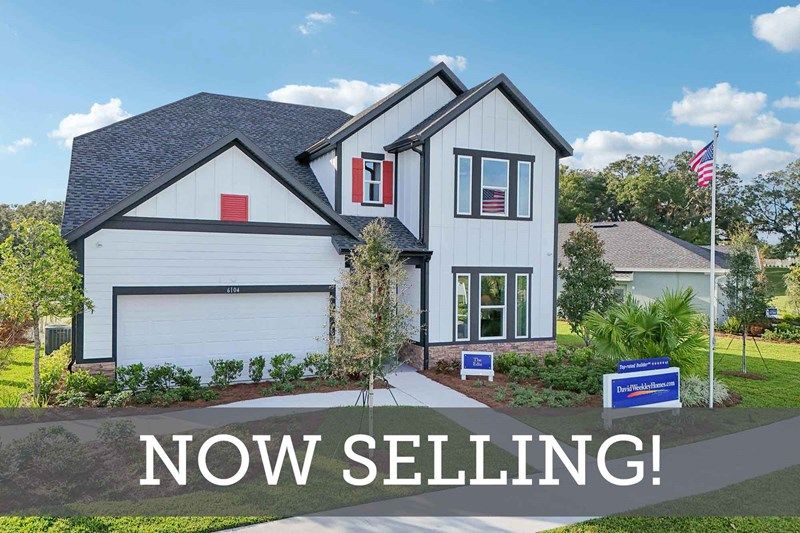 Oakfield at Mount Dora Village Series - Now Selling