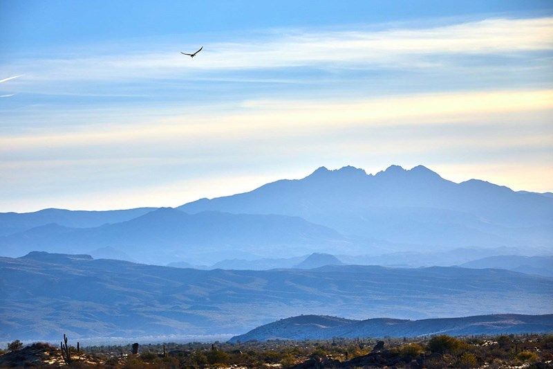 Preserve Ranch