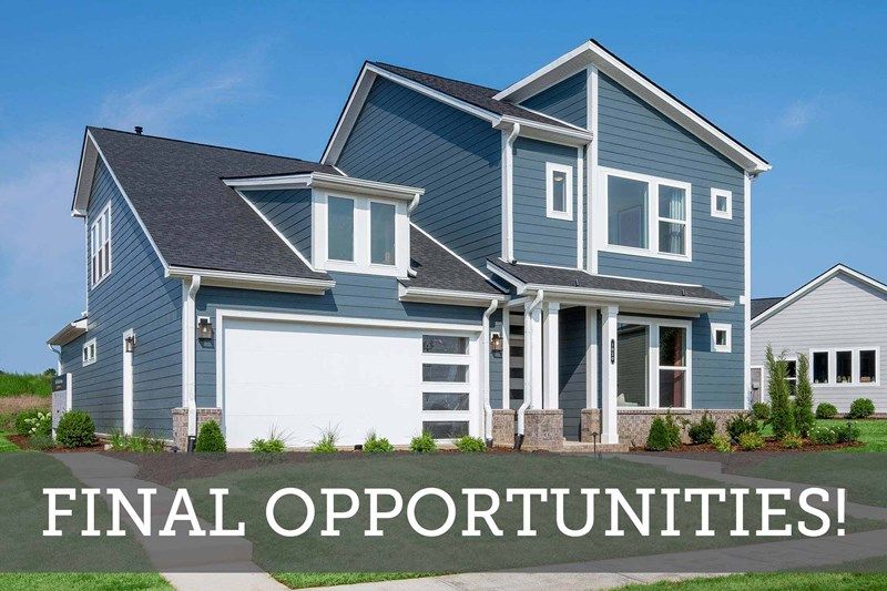 Nexus - Village Collection - Final Opportunities