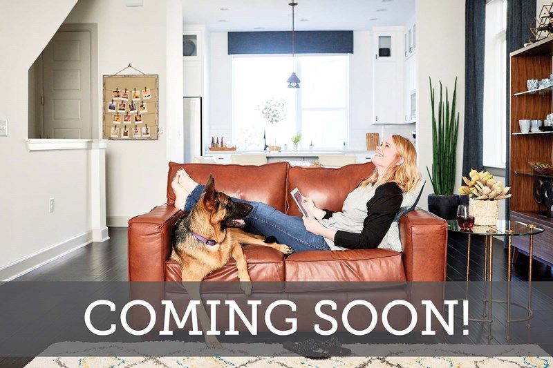 Baldwin Crossing - Coming Soon