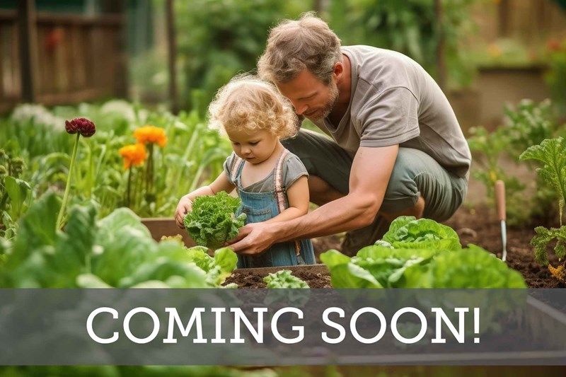 Briggs Ranch - Coming Soon