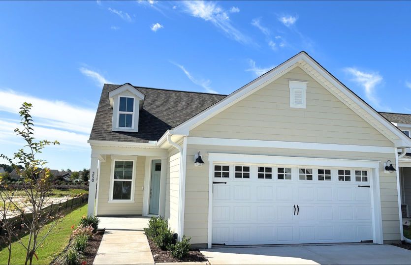 Exterior:Contour Lot 4