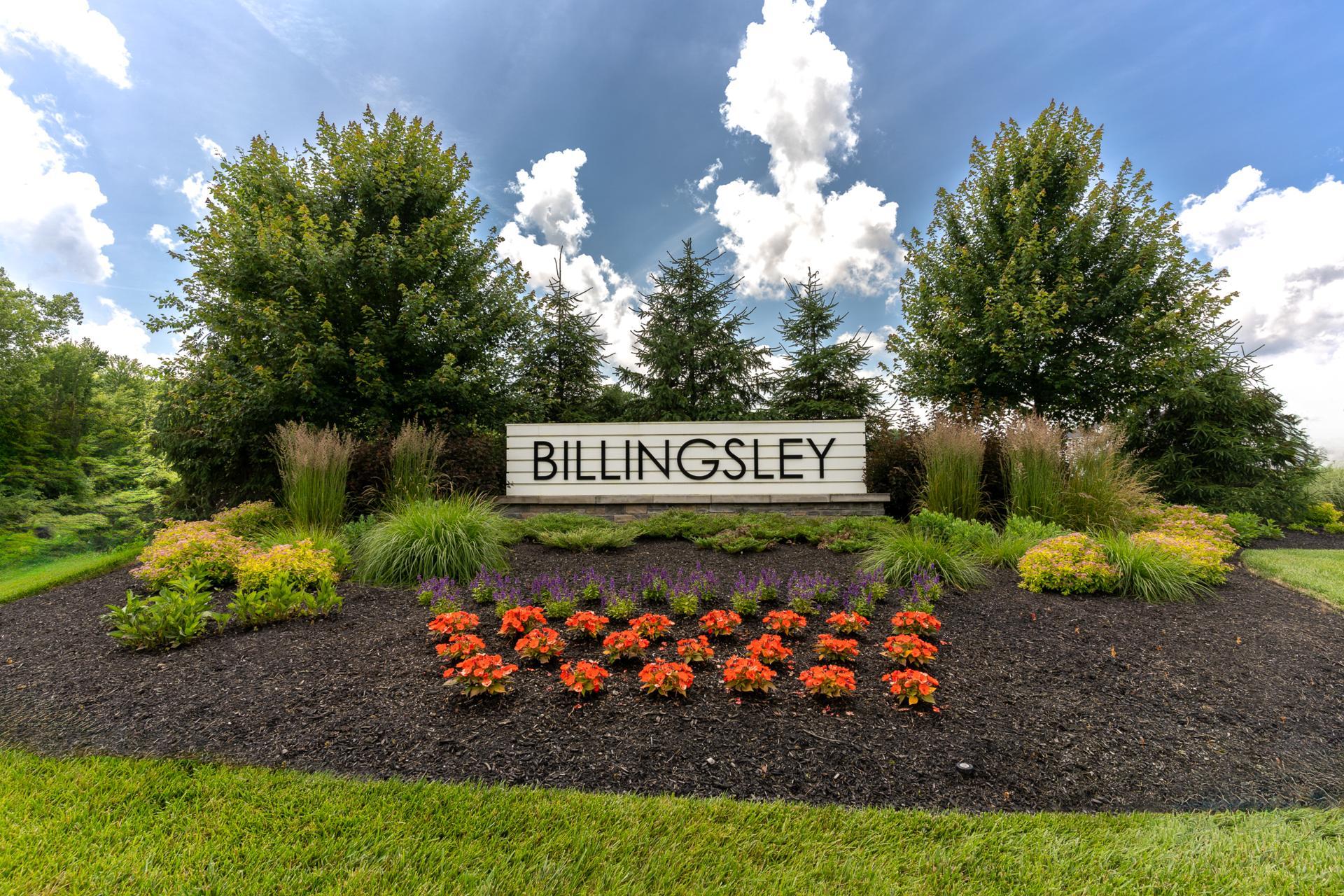 The Billingsley Community Entrance