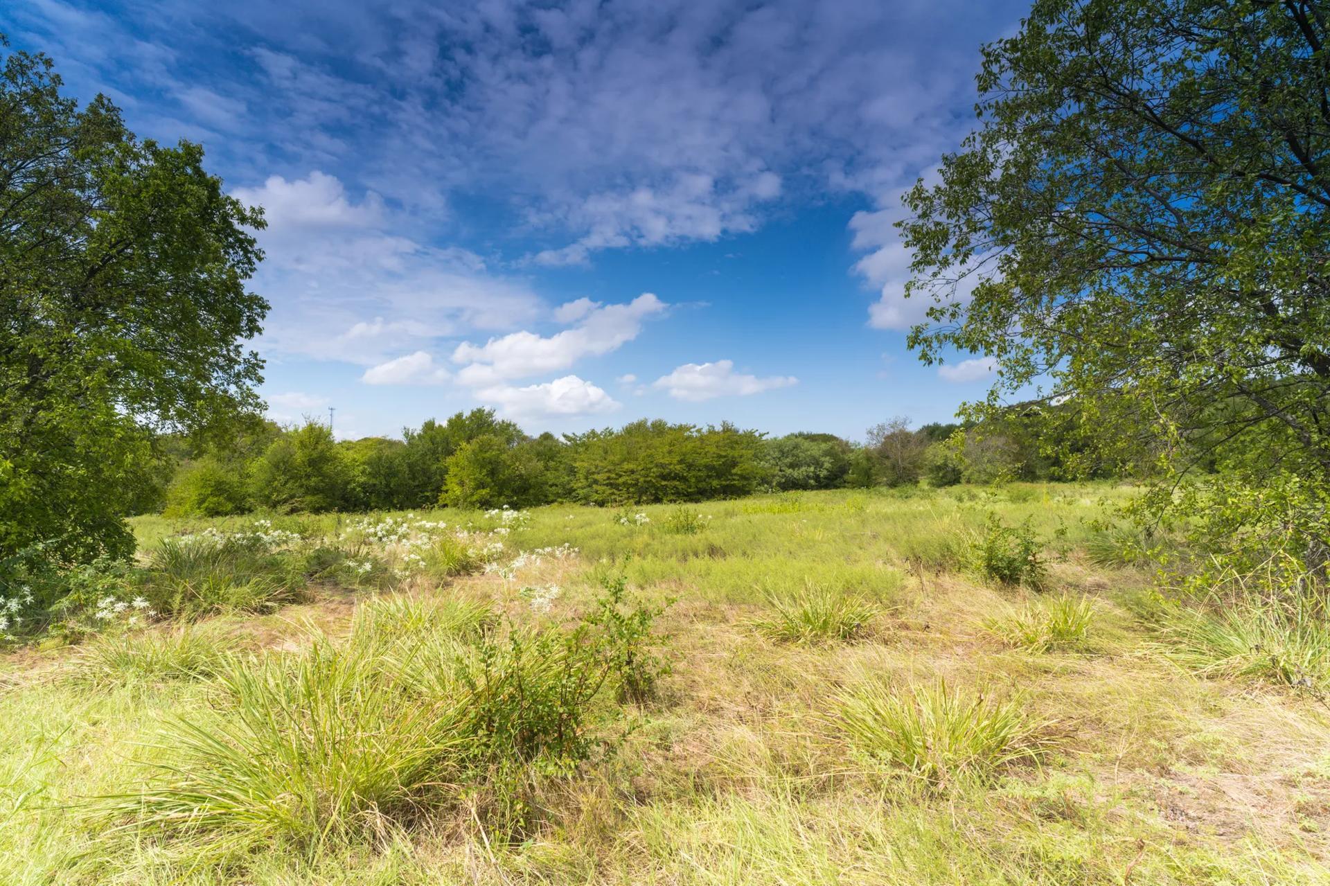 Texas landscape stock image