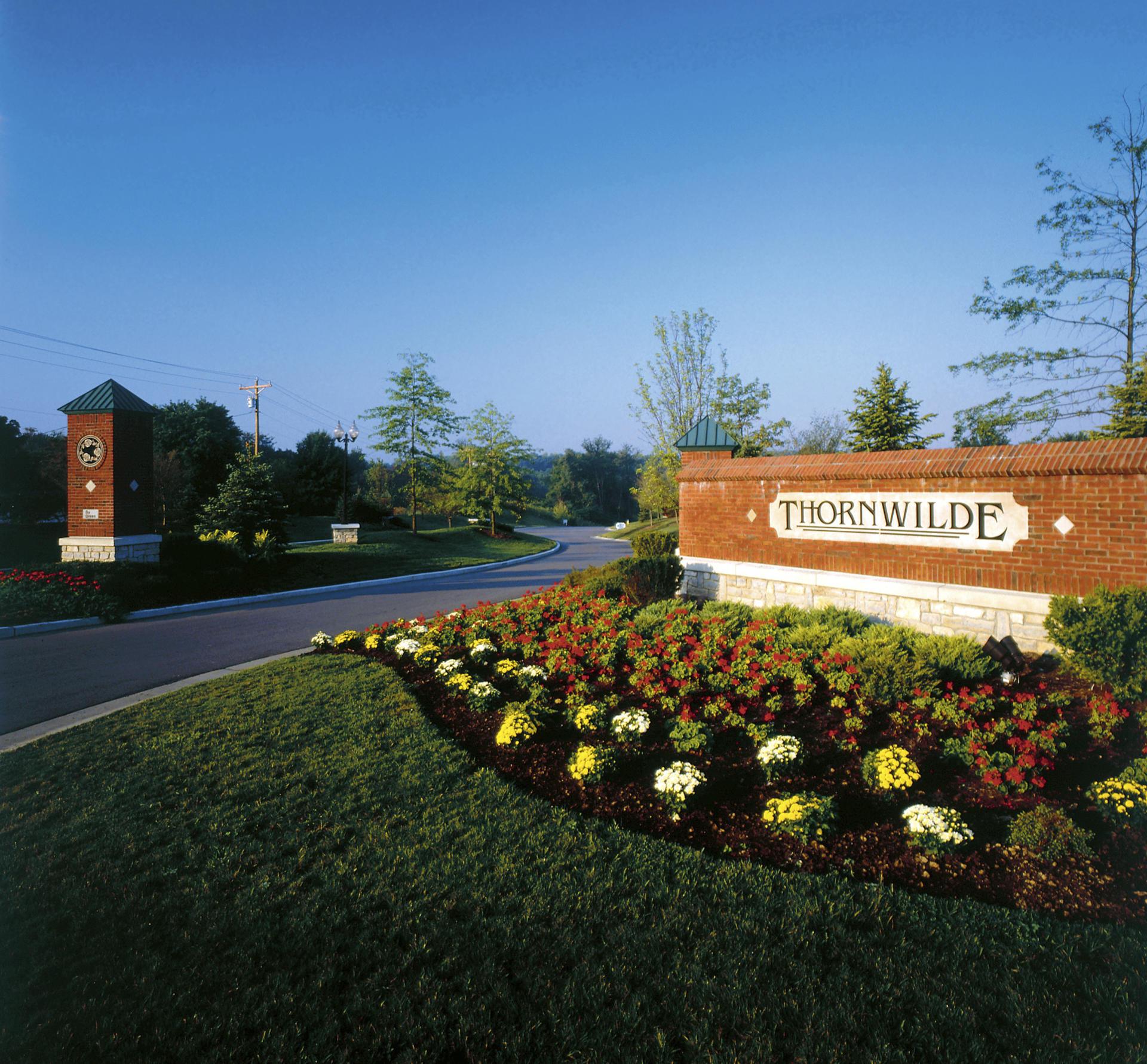 The Thornwilde Entrance
