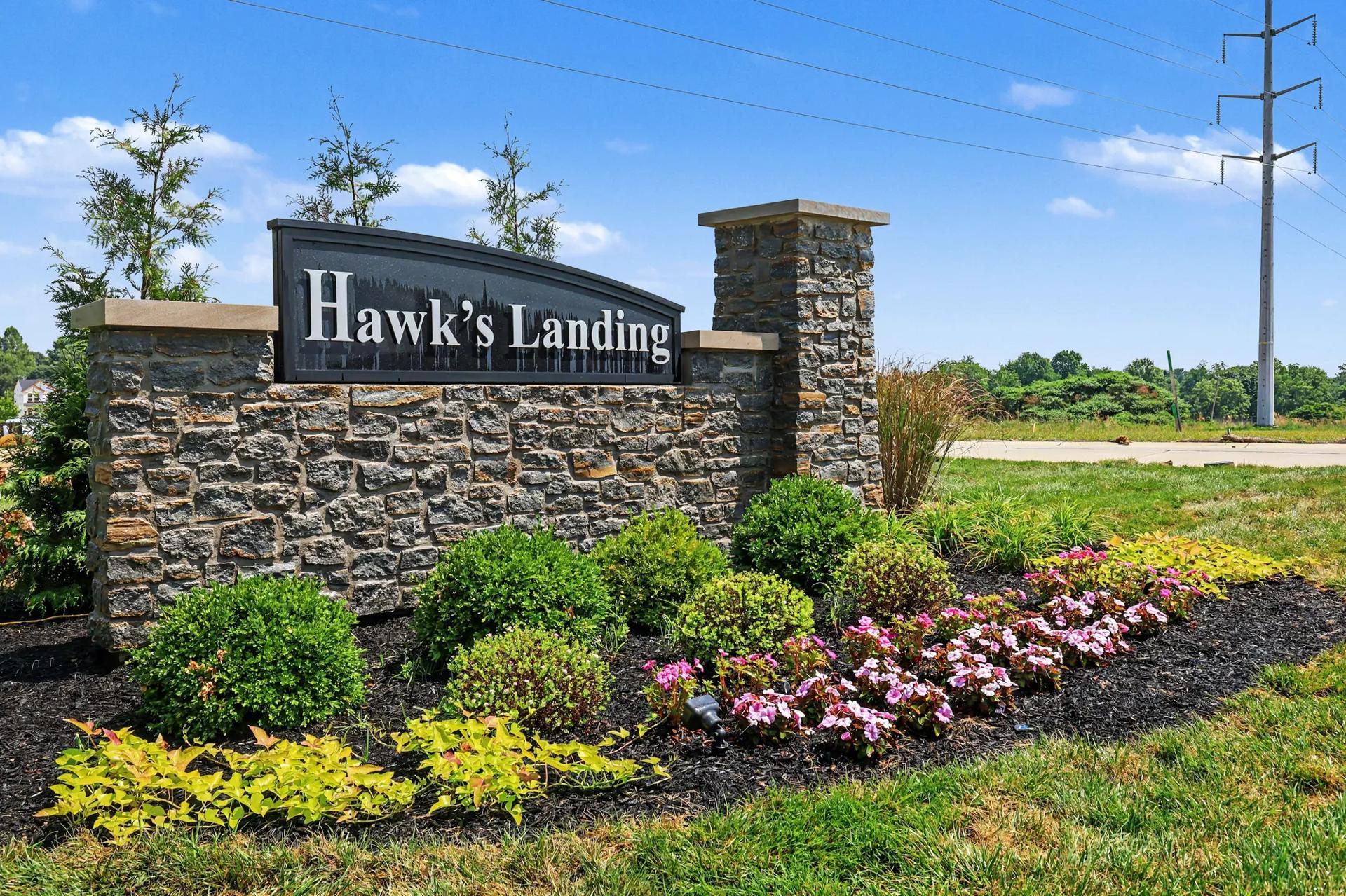 Hawk's Landing