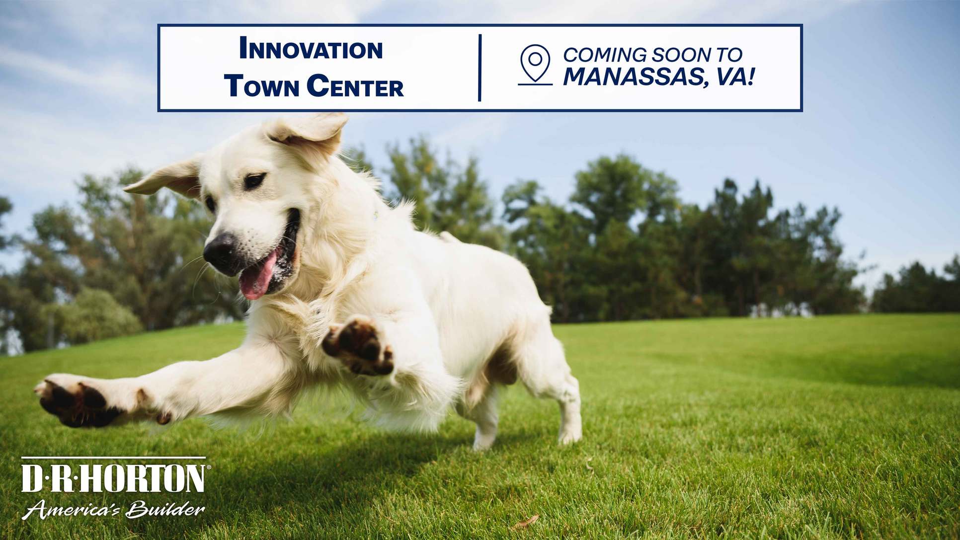 Subdivision Image 1:Subdivision Image 1