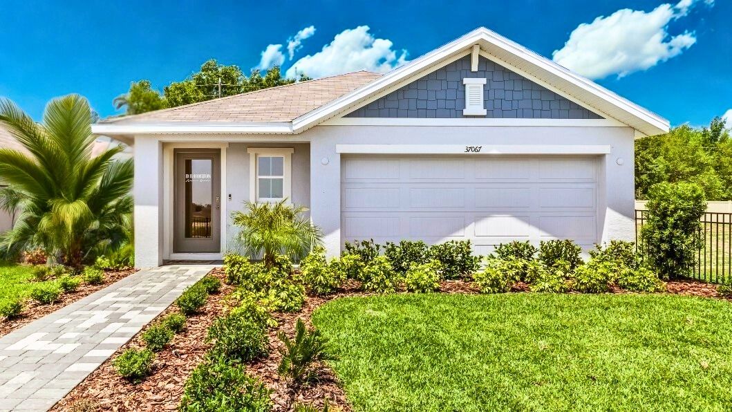 Subdivision Image 0:Subdivision Image 0