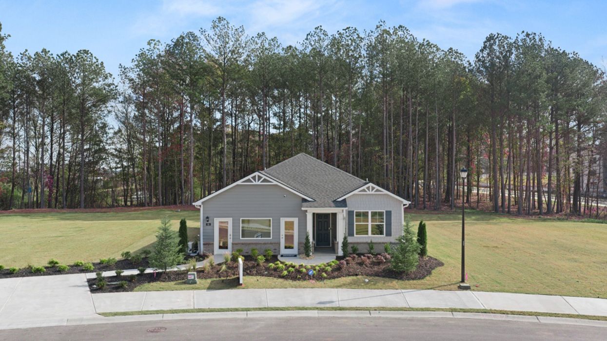 Elevation 0:Plan Elevation.