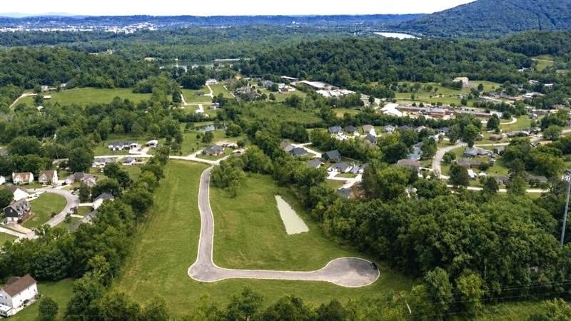 Subdivision Image 0:Subdivision Image 0