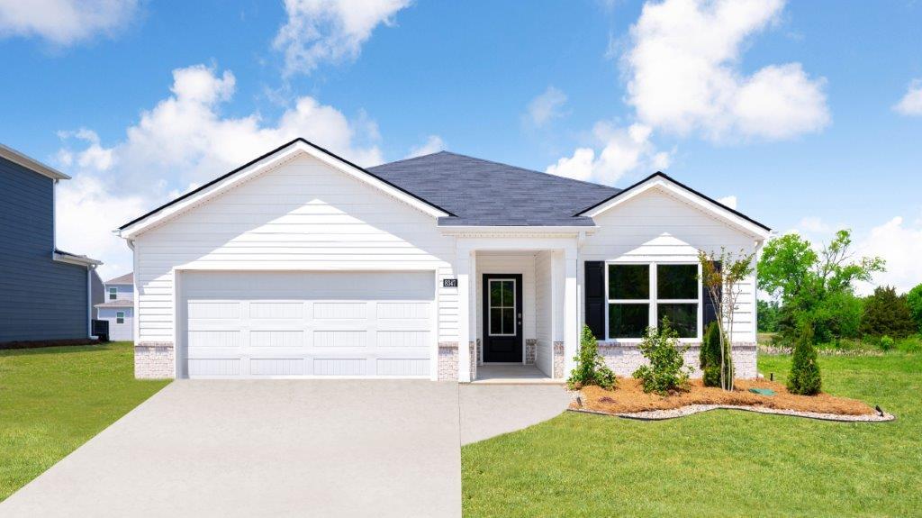 Subdivision Image 0:Subdivision Image 0