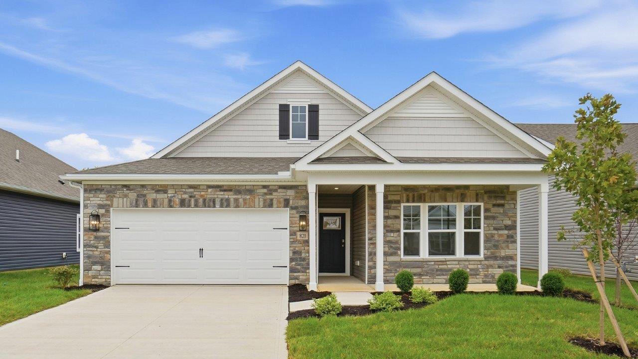Subdivision Image 0:Subdivision Image 0