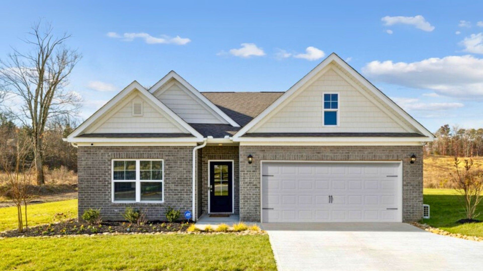 Subdivision Image 0:Subdivision Image 0