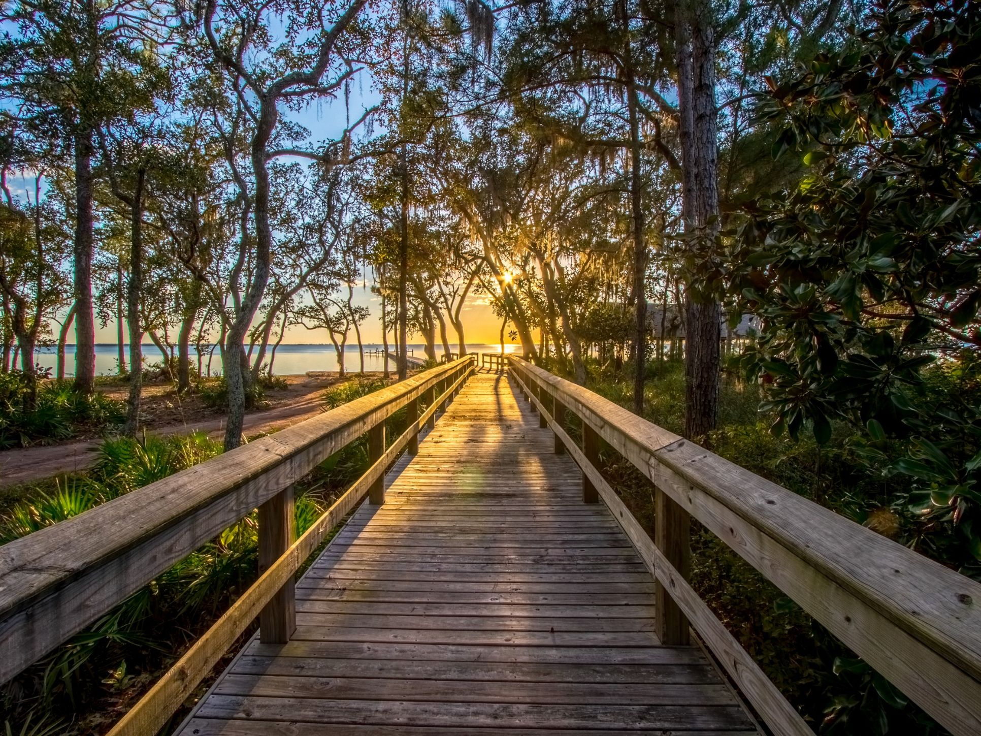 The Trails at Hammock Bay Walking Trail