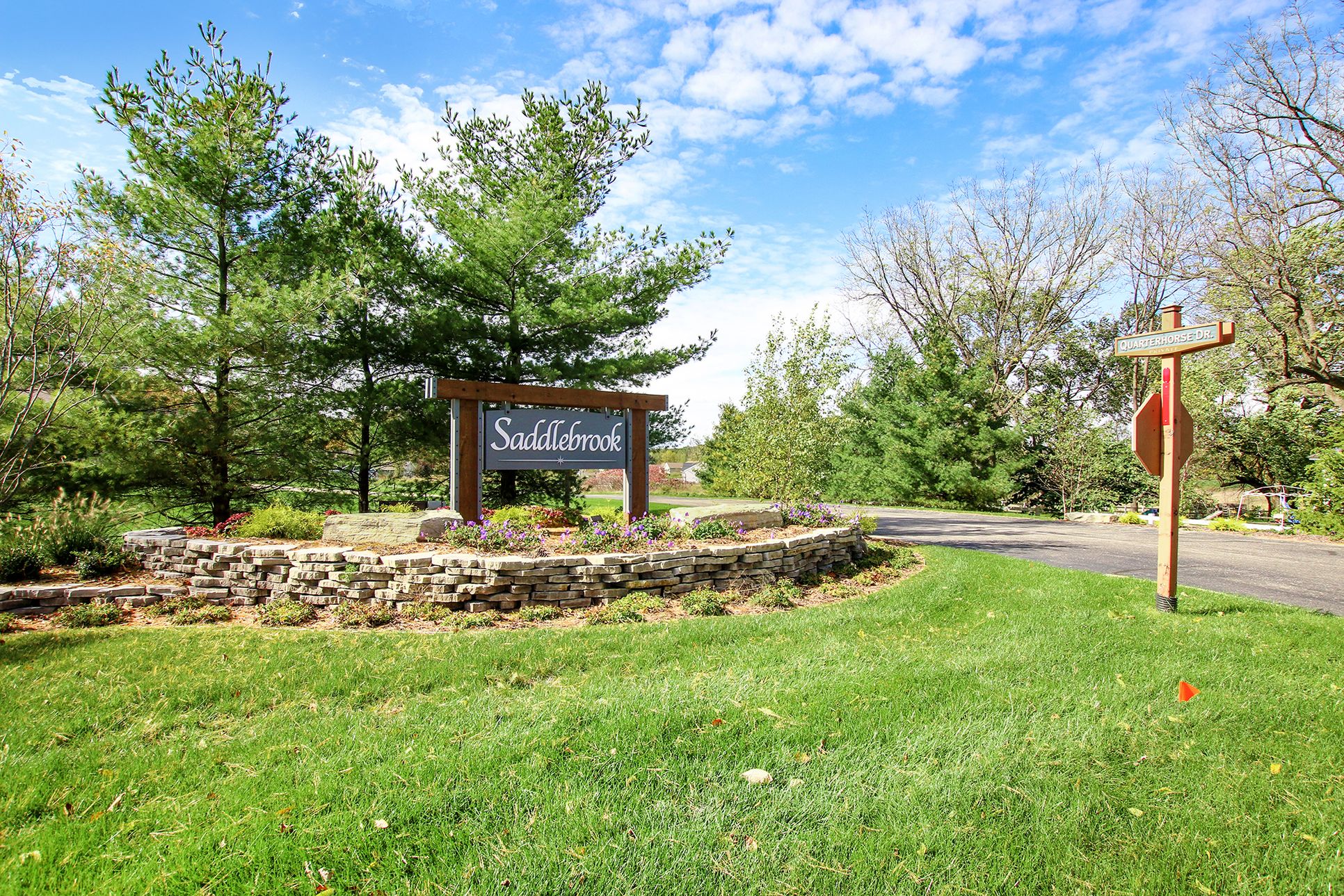 Saddlebrook