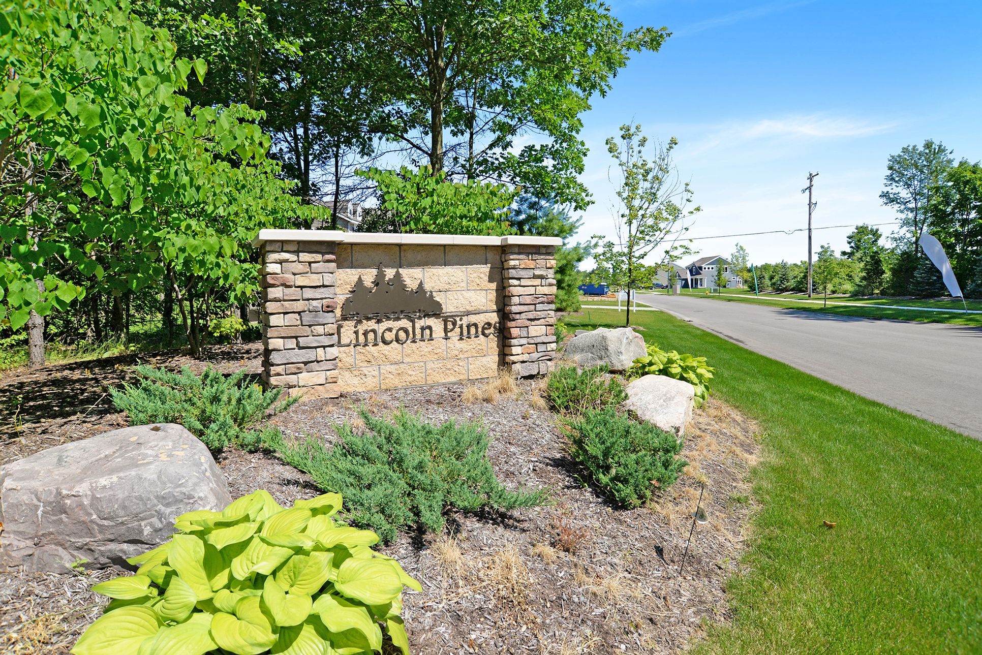 Lincoln Pines