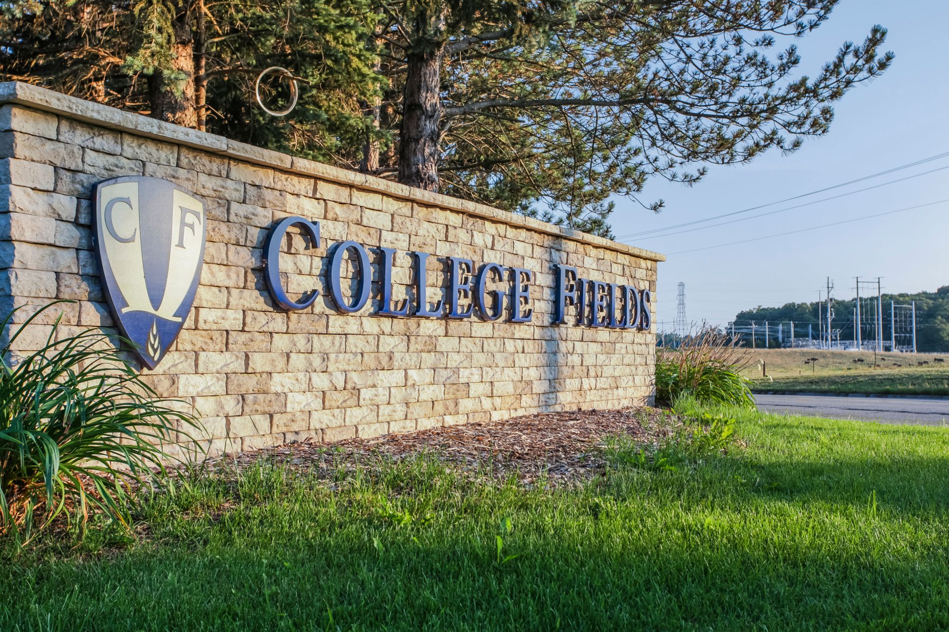 College Fields