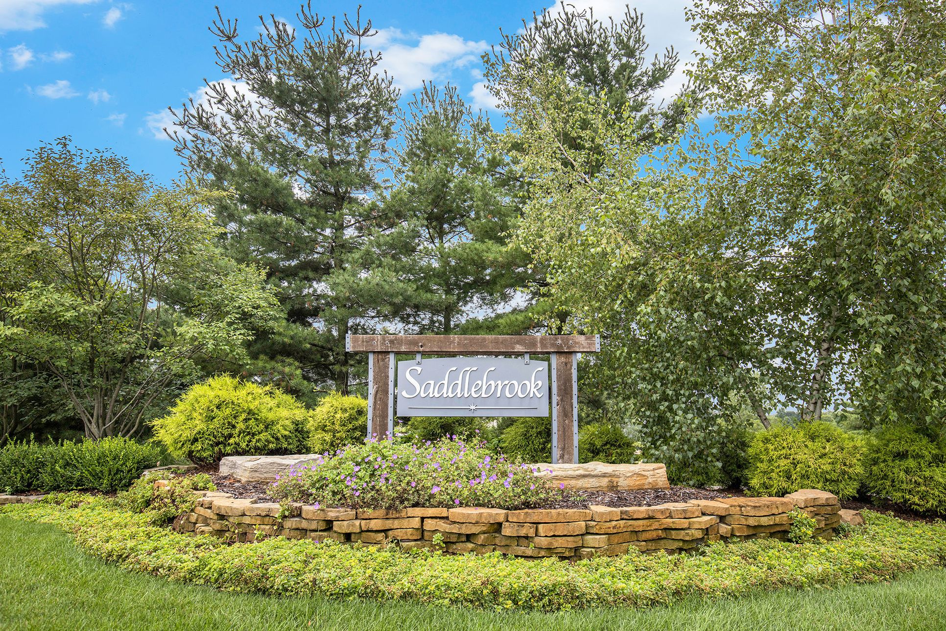 Saddlebrook