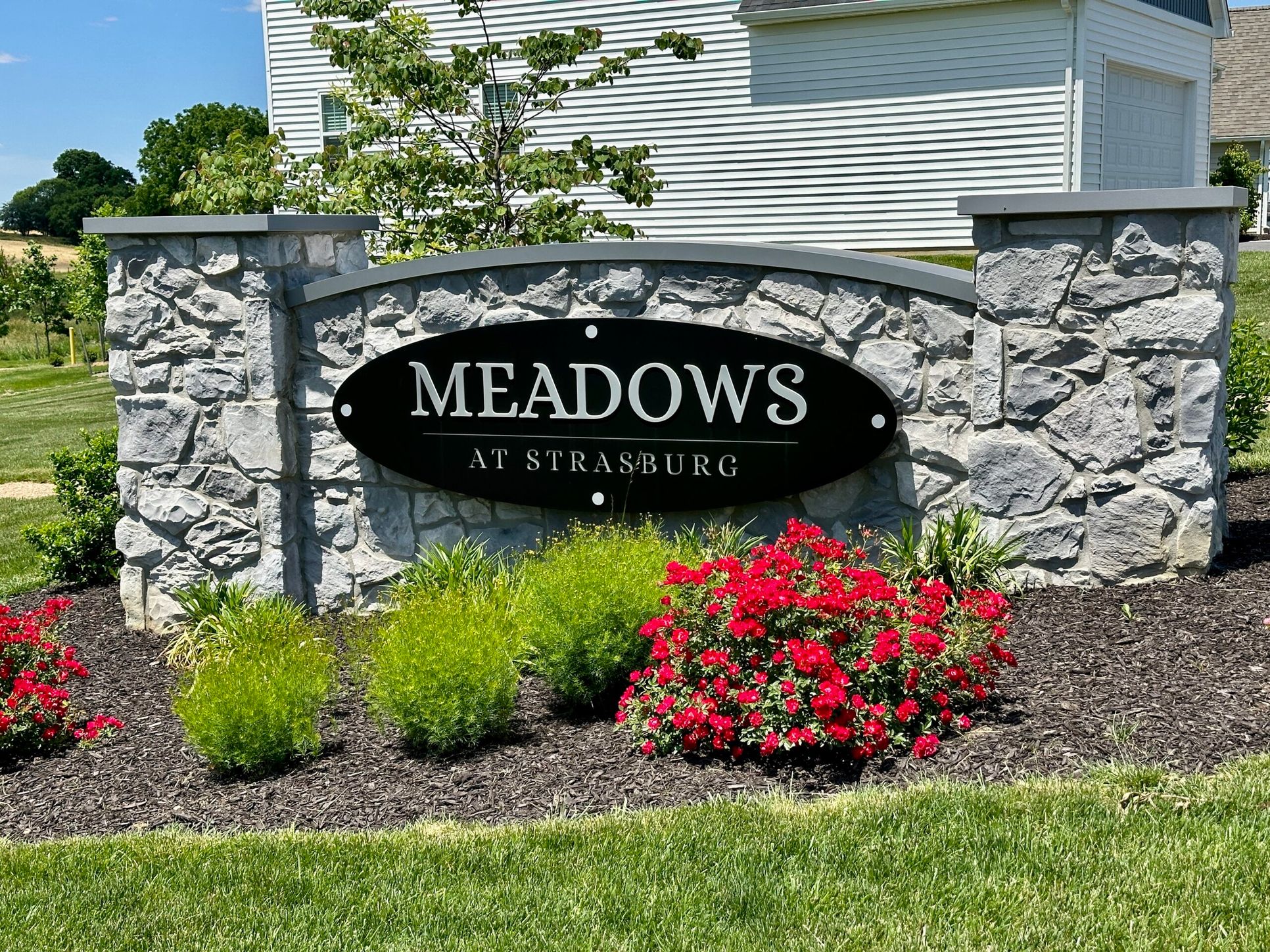 Meadows at Strasburg,17579