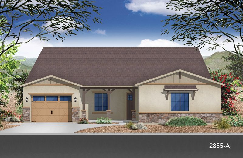Exterior:Elevation A