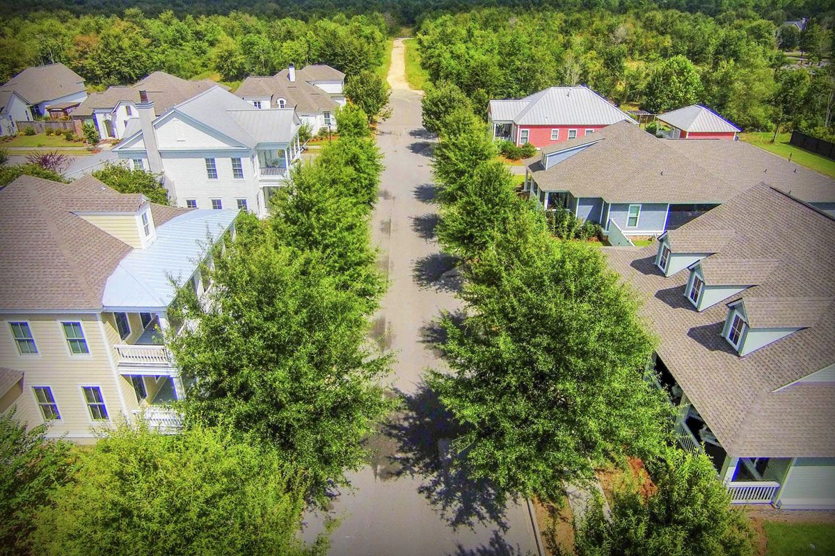 Forest Ridge